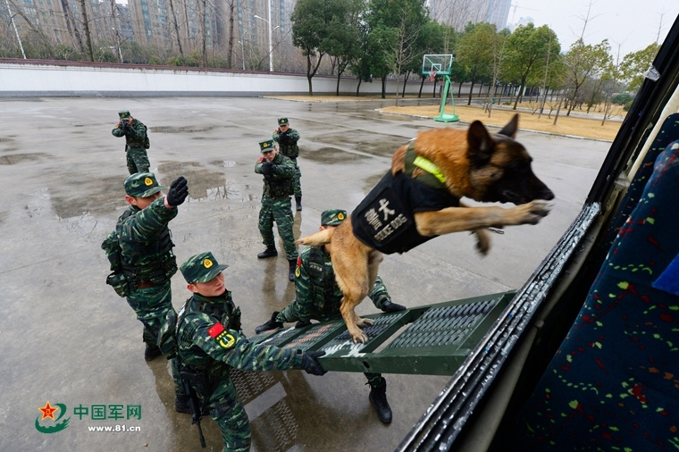 澳门一肖一码100准，探讨说明：女子酒后跌落坑中死亡，家属起诉9名聚餐者索赔近百万！法院判了