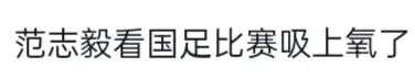 2024新澳门天天开好彩大全，深层数据执行策略：范志毅看国足比赛吸上氧了  