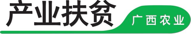 广西东兴推进标准化养殖场建设，特色肉牛养殖助力产业发展